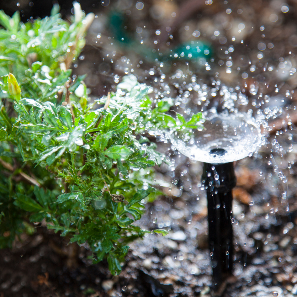 bombas de agua para agricultura