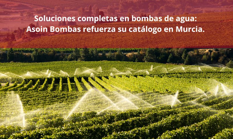 asoin bombas bombas de agua